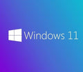 MICROSOFT Ms Wındows 11 Pro 64 Bıt Ingılızce Oem FQC-10528