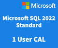 Microsoft SQL Server 2022 - 1 User CAL
