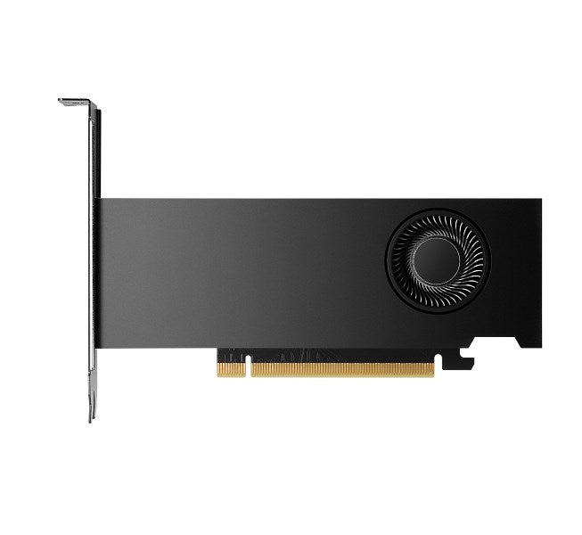HP NVIDIA RTX 2000 ADA 16GB GD6 4mDp
